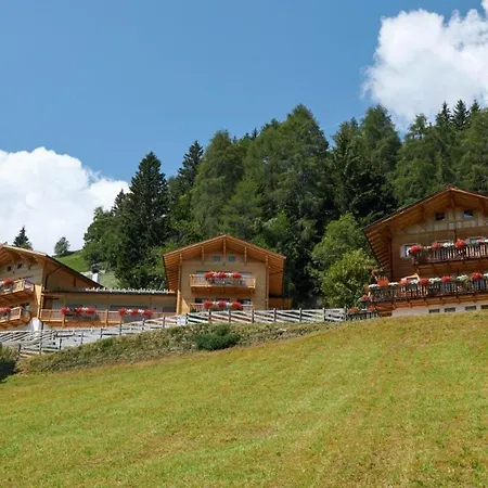 Kalchgruberhof Bergfichte